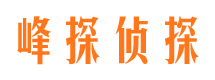 加查市侦探公司